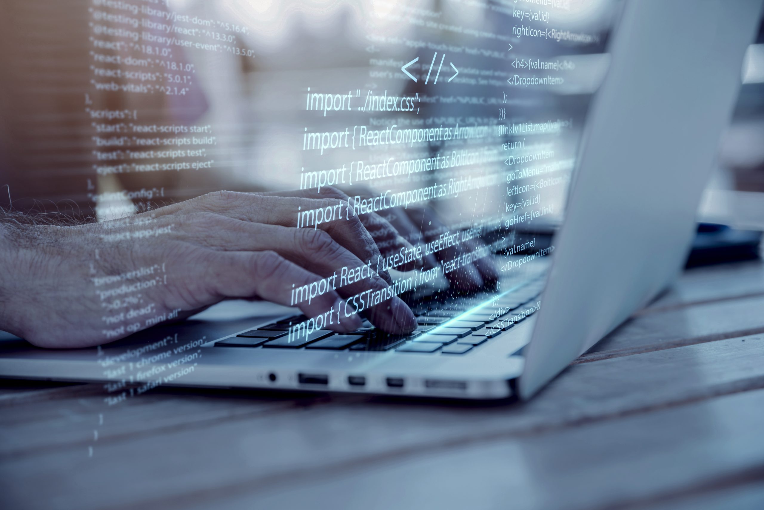 Web Development